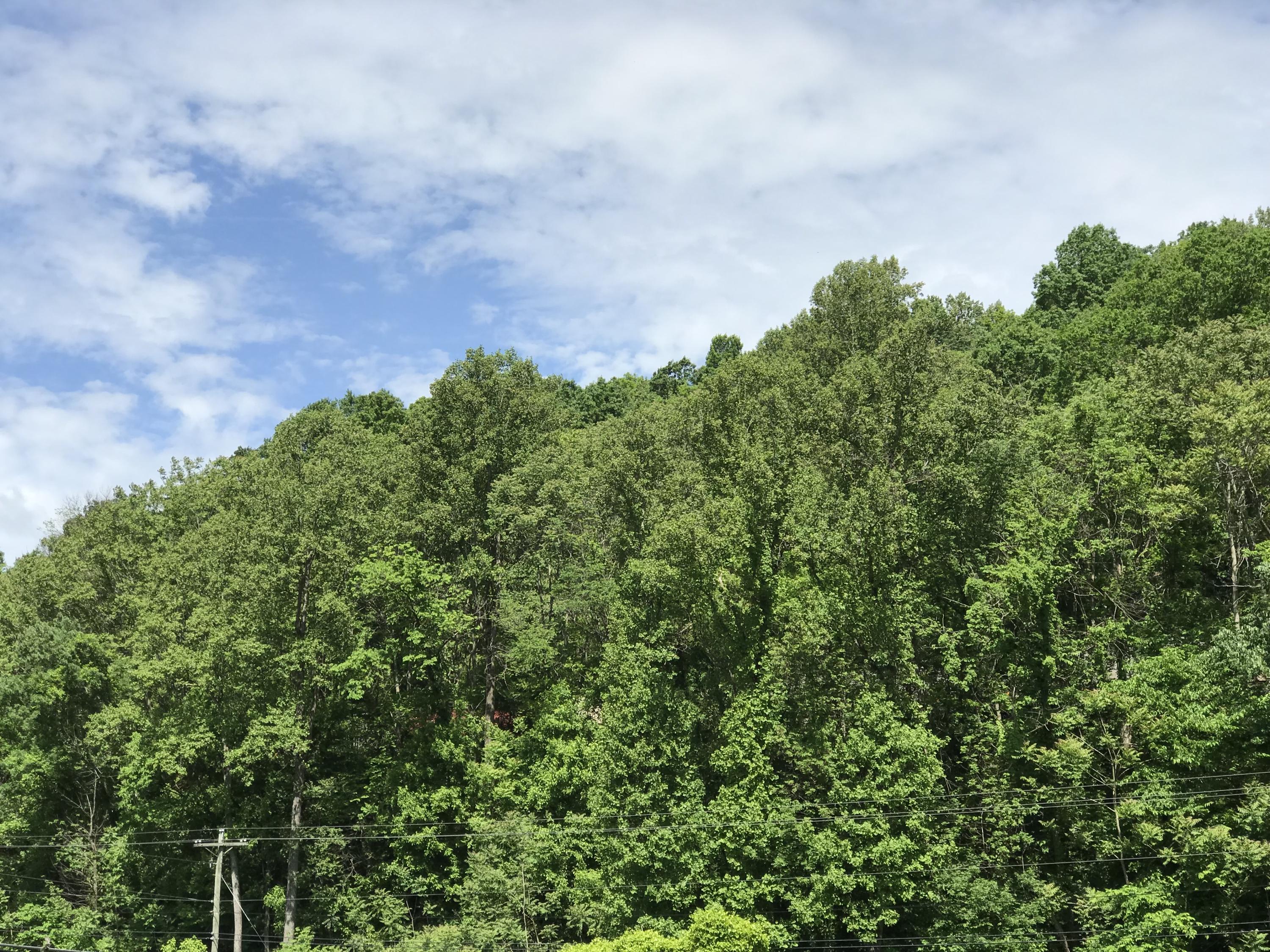5731 Roanoke Road Shawsville, VA 24162 - Photo 20 of 26 IMG_9748