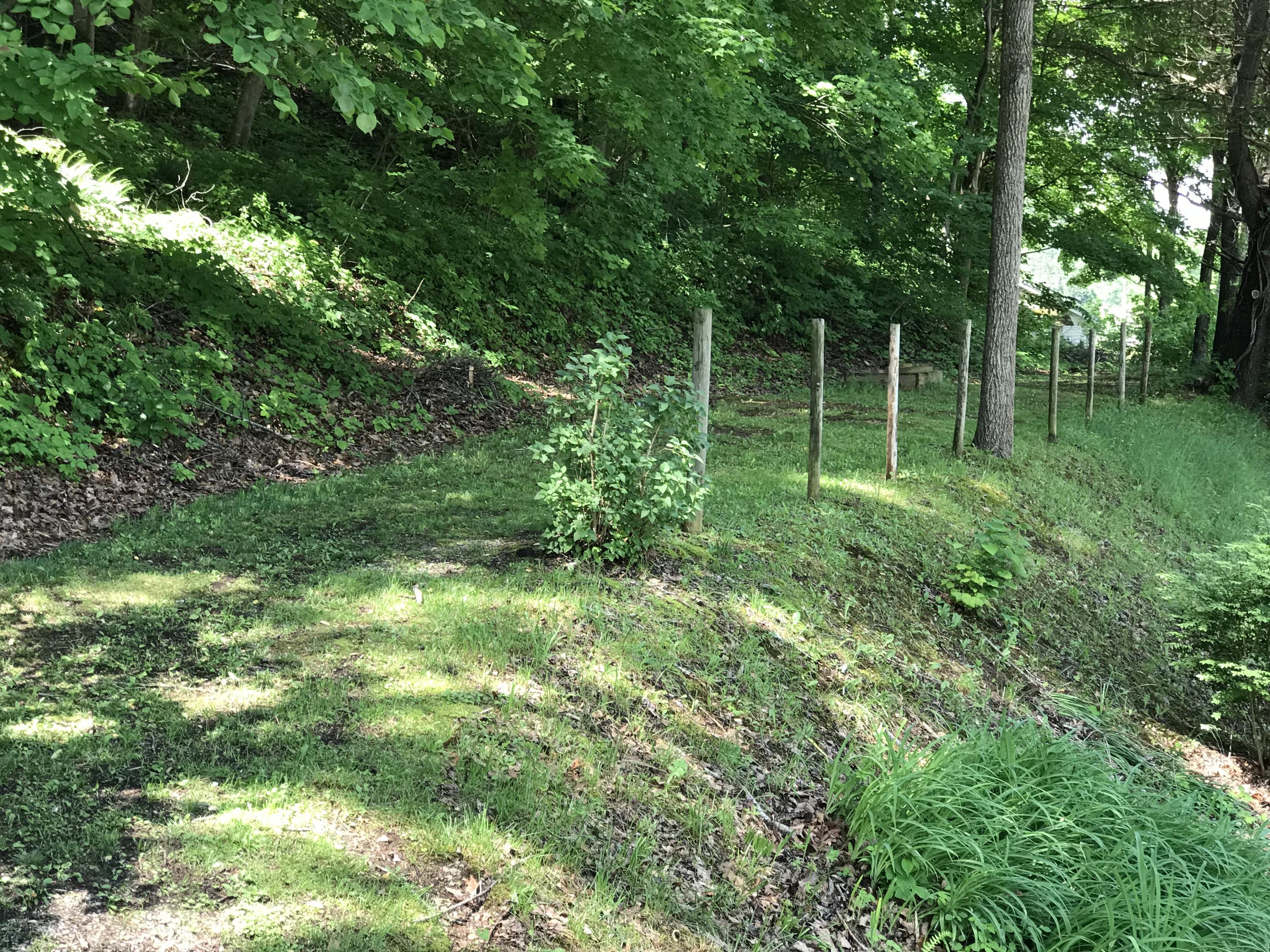 5731 Roanoke Road Shawsville, VA 24162 - Photo 22 of 26 IMG_9750