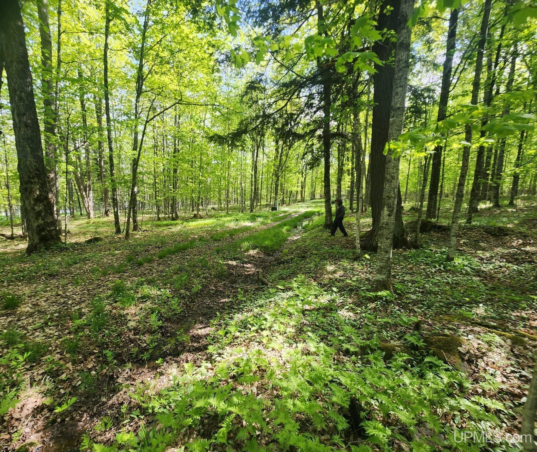 Lot 18 University Road Iron River, MI 49935 - Photo 18 of 36 Gallery Image 18