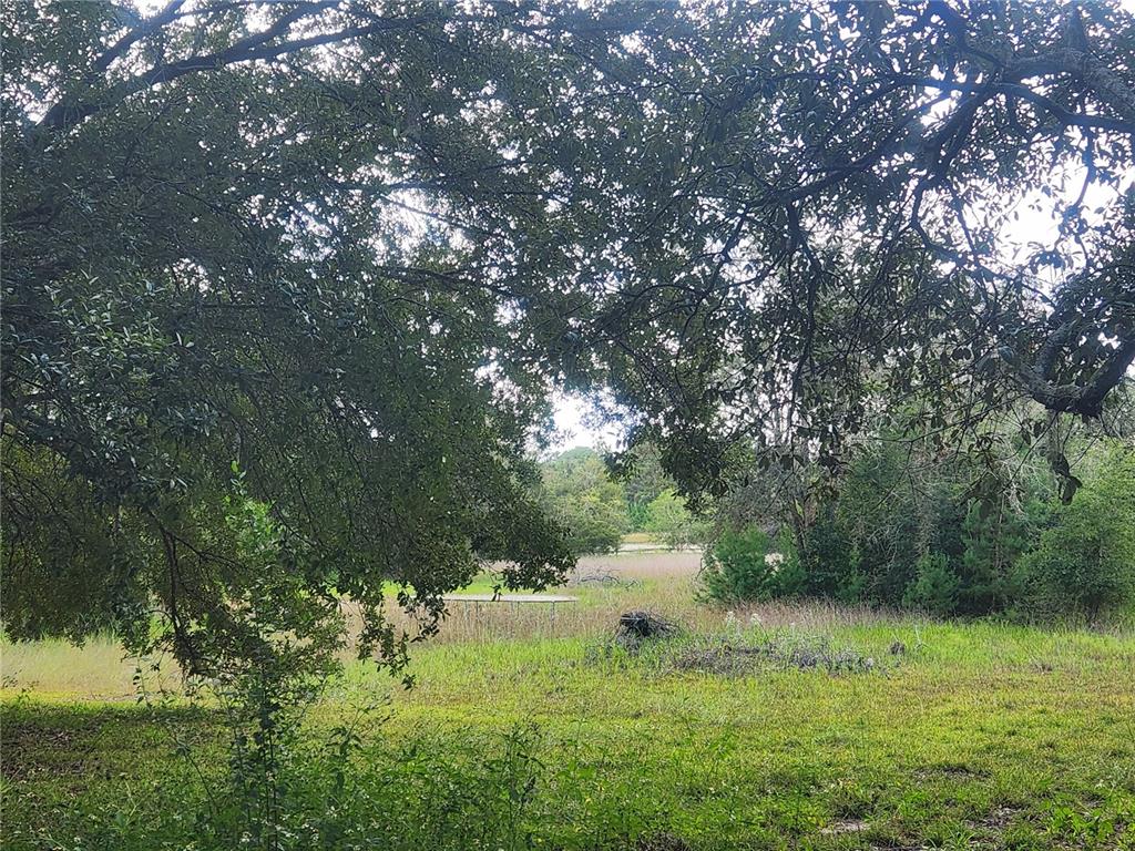 217 Lakeview Road Melrose, FL 32666 - Photo 2 of 23