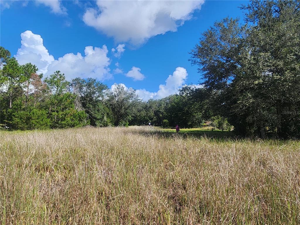 217 Lakeview Road Melrose, FL 32666 - Photo 3 of 23