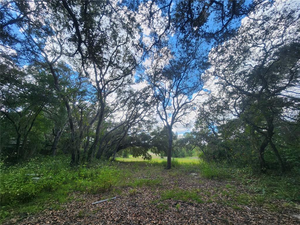 217 Lakeview Road Melrose, FL 32666 - Photo 5 of 23