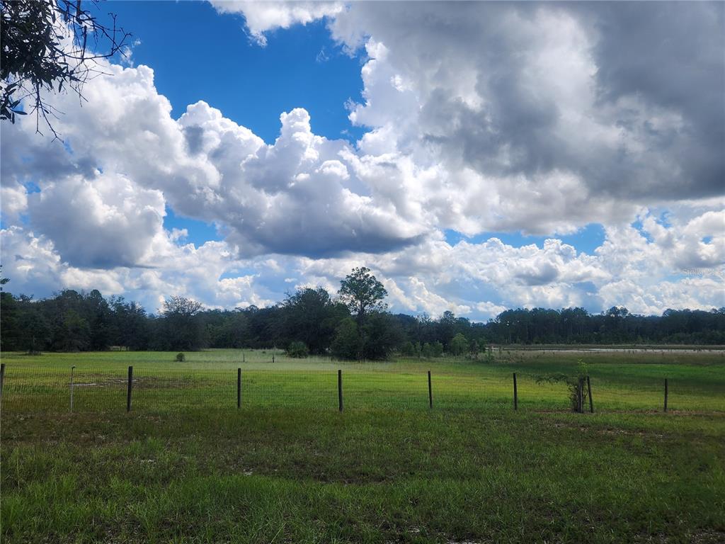 217 Lakeview Road Melrose, FL 32666 - Photo 6 of 23