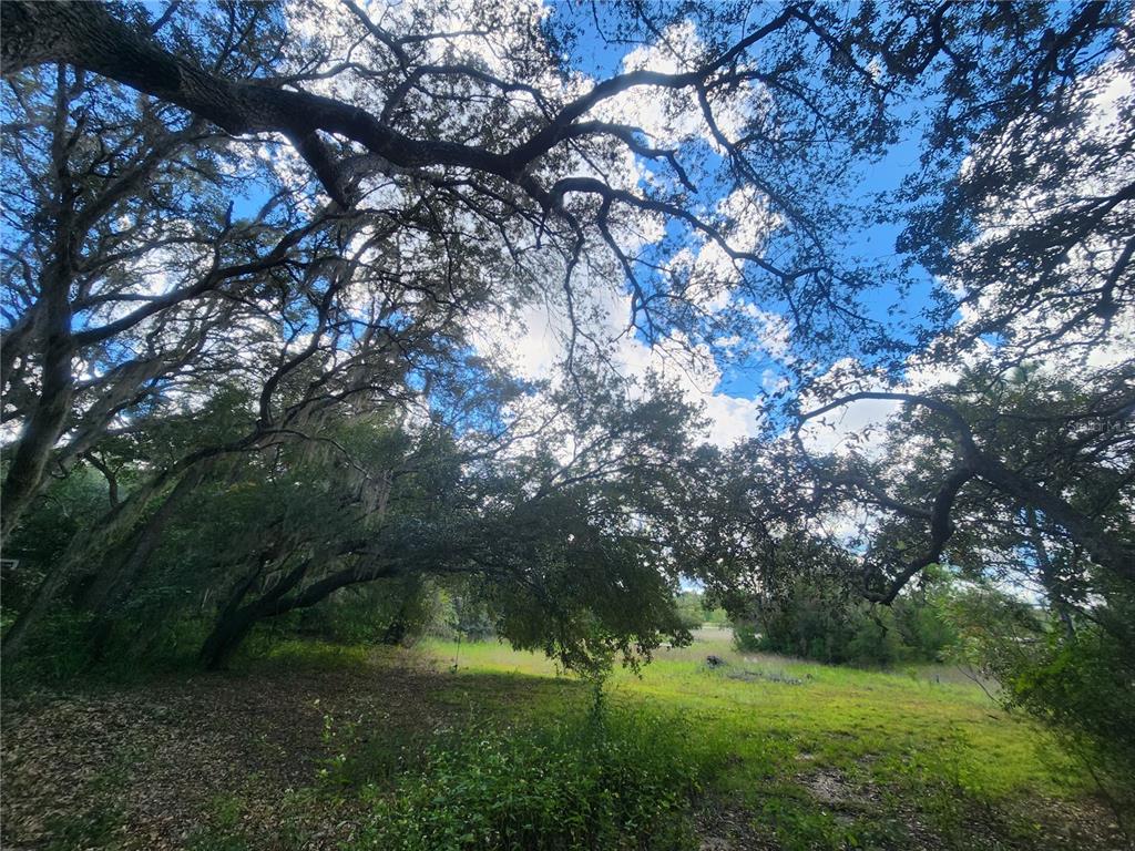 217 Lakeview Road Melrose, FL 32666 - Photo 7 of 23