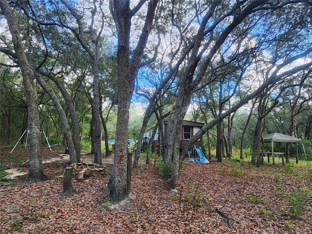 217 Lakeview Road Melrose, FL 32666 - Photo 8 of 23