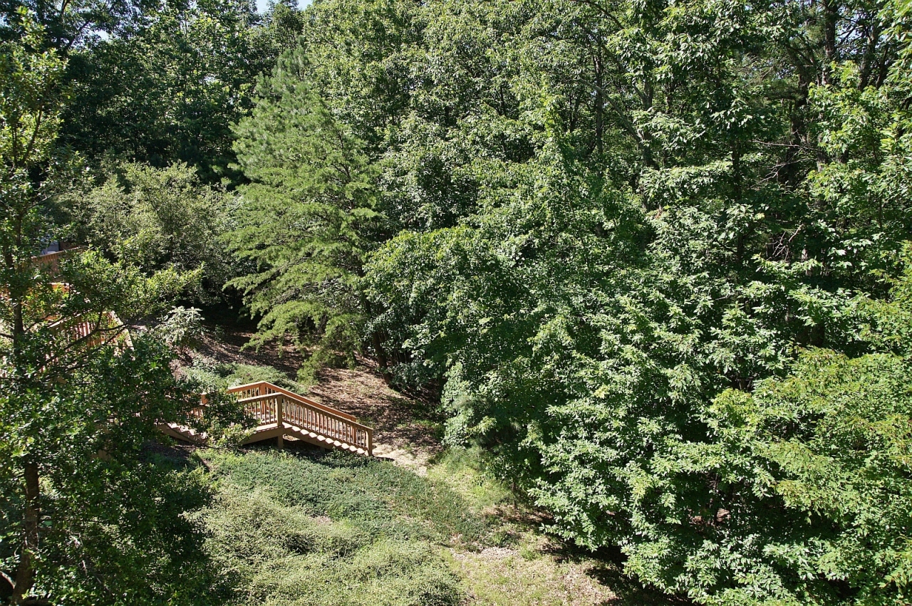5360 Silver Fox Road Roanoke, VA 24018 - Photo 23 of 28 EXTERIOR