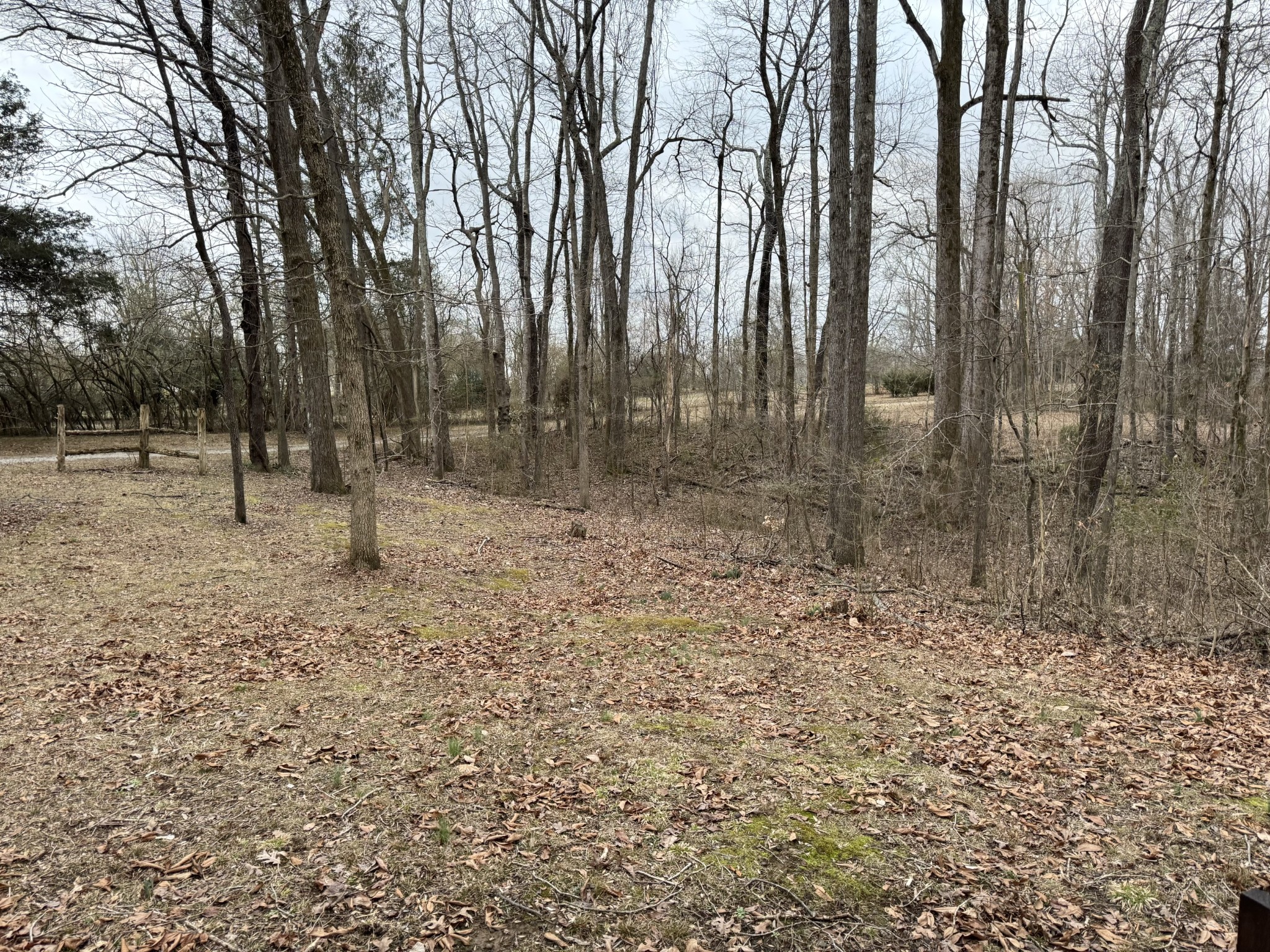 110 Lambert Ridge Road Wartrace, TN 37183 - Photo 11 of 11 a backyard of a house with lots of green space