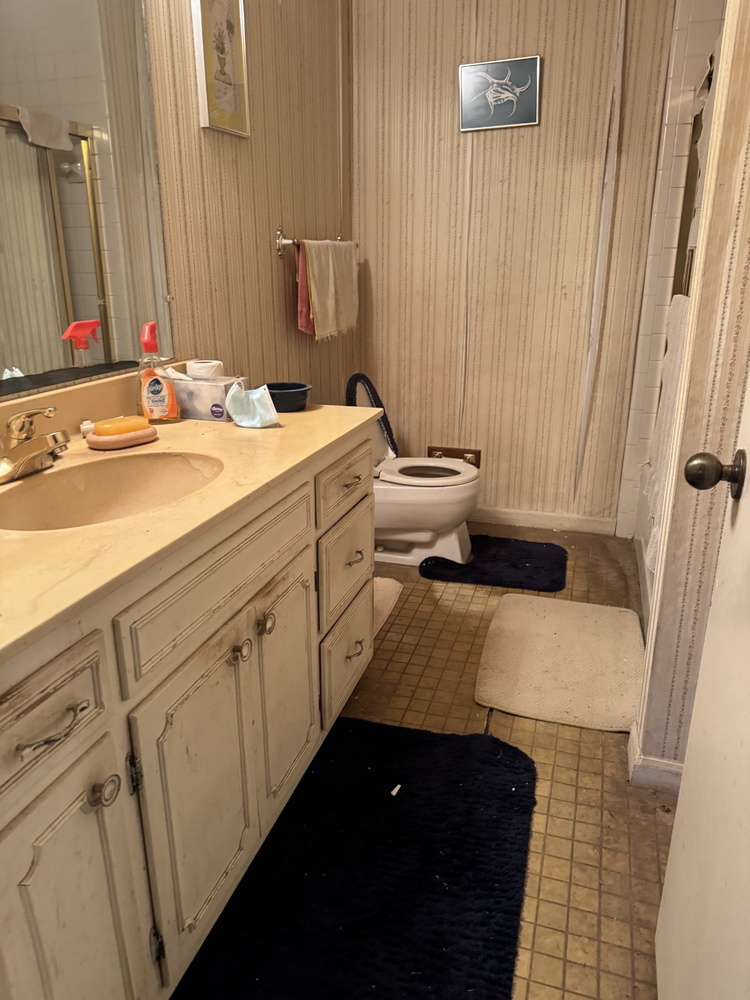 110 Lambert Ridge Road Wartrace, TN 37183 - Photo 7 of 11 a bathroom with a sink and a mirror
