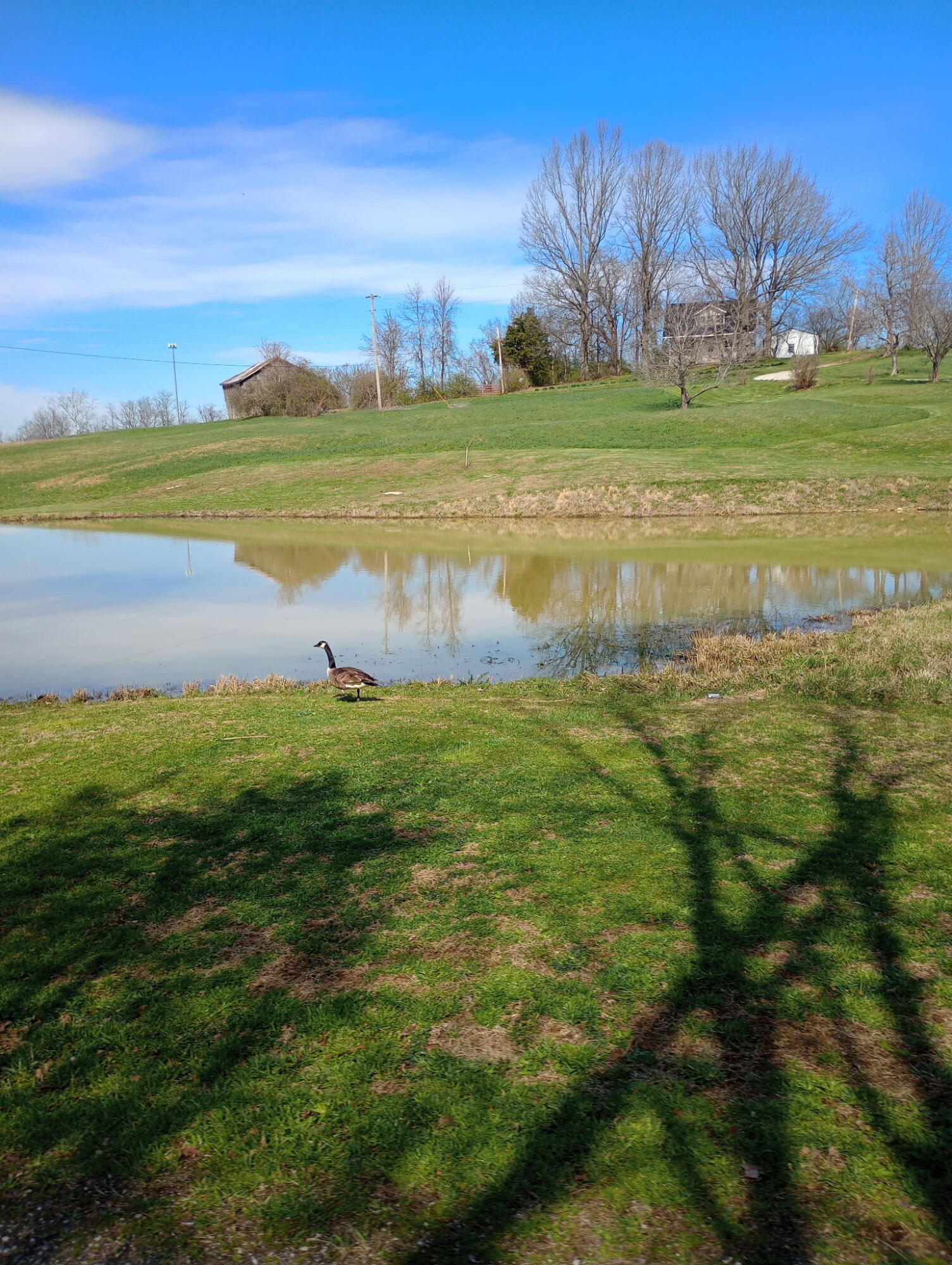 355 Mudlick Road Cynthiana, KY 41031 - Photo 26 of 31 2948663021350203241