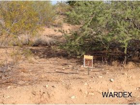 217 Rawhide Yucca, AZ 86438 - Photo 2 of 4 a view of a wooden floor with a dry yard