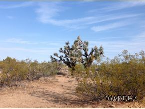 217 Rawhide Yucca, AZ 86438 - Photo 4 of 4 a view of a sky