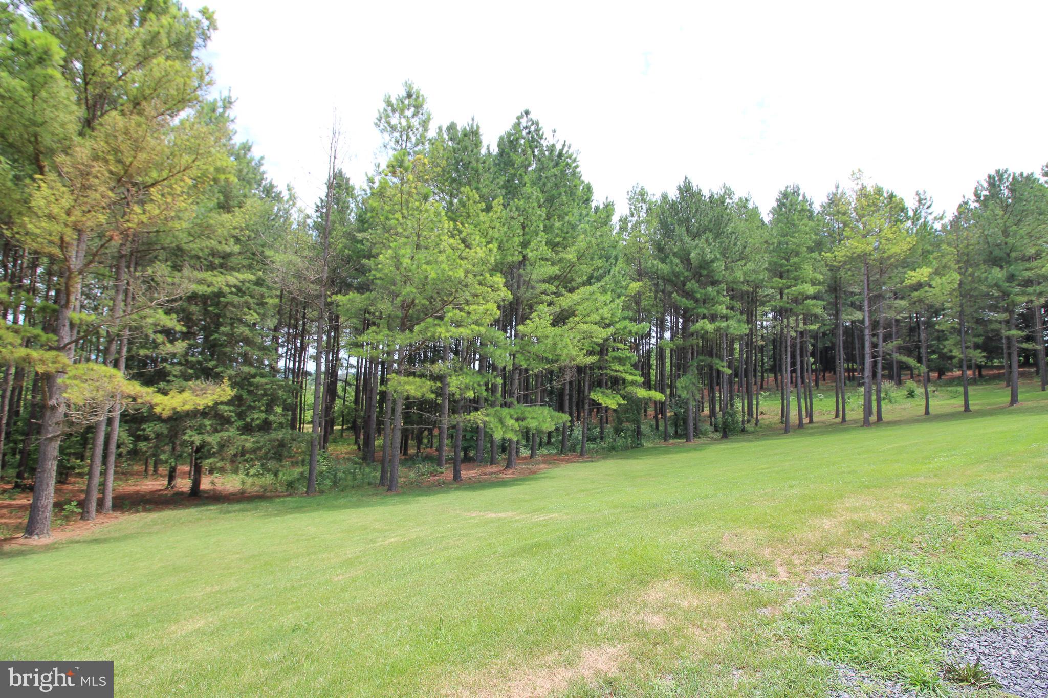 4055 Conicville Road Mount Jackson, VA 22842 - Photo 38 of 42