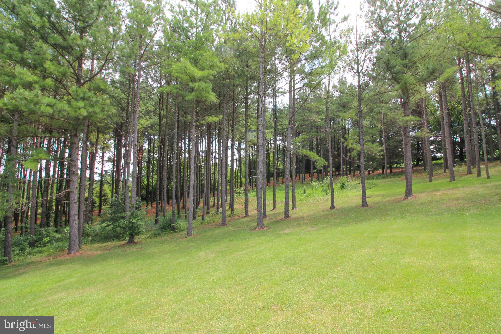 4055 Conicville Road Mount Jackson, VA 22842 - Photo 42 of 42