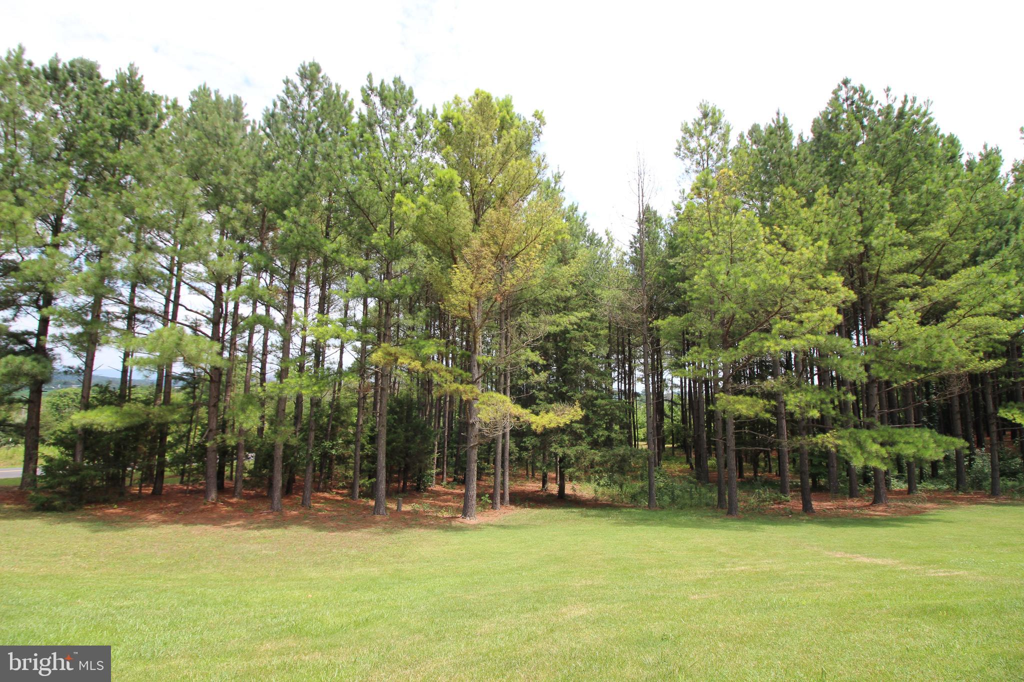 4055 Conicville Road Mount Jackson, VA 22842 - Photo 6 of 42