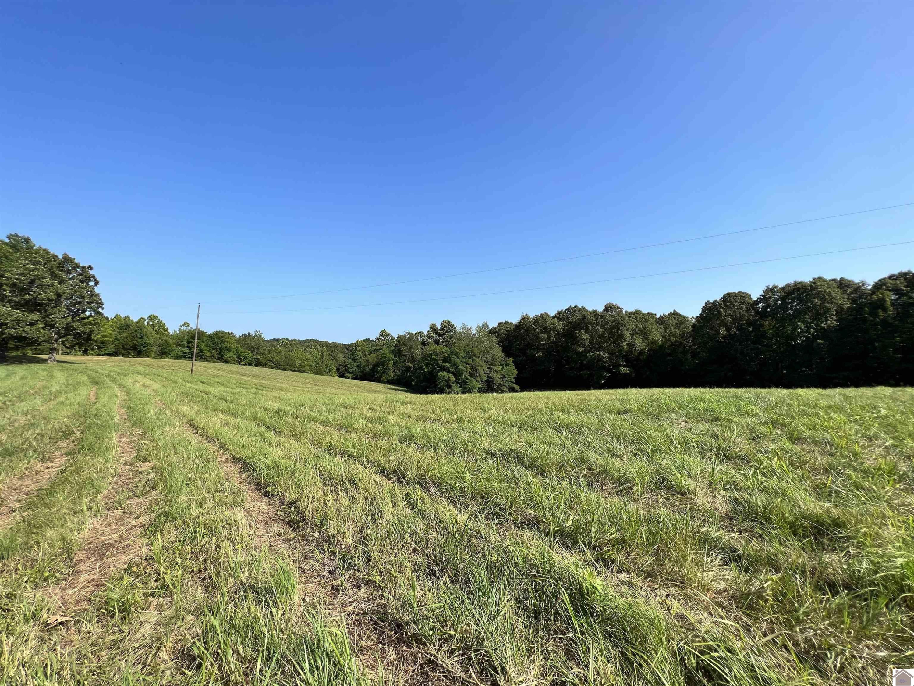 0 McDaniel Cemetery Road Dexter, KY 42036 - Photo 1 of 1 Photo 1