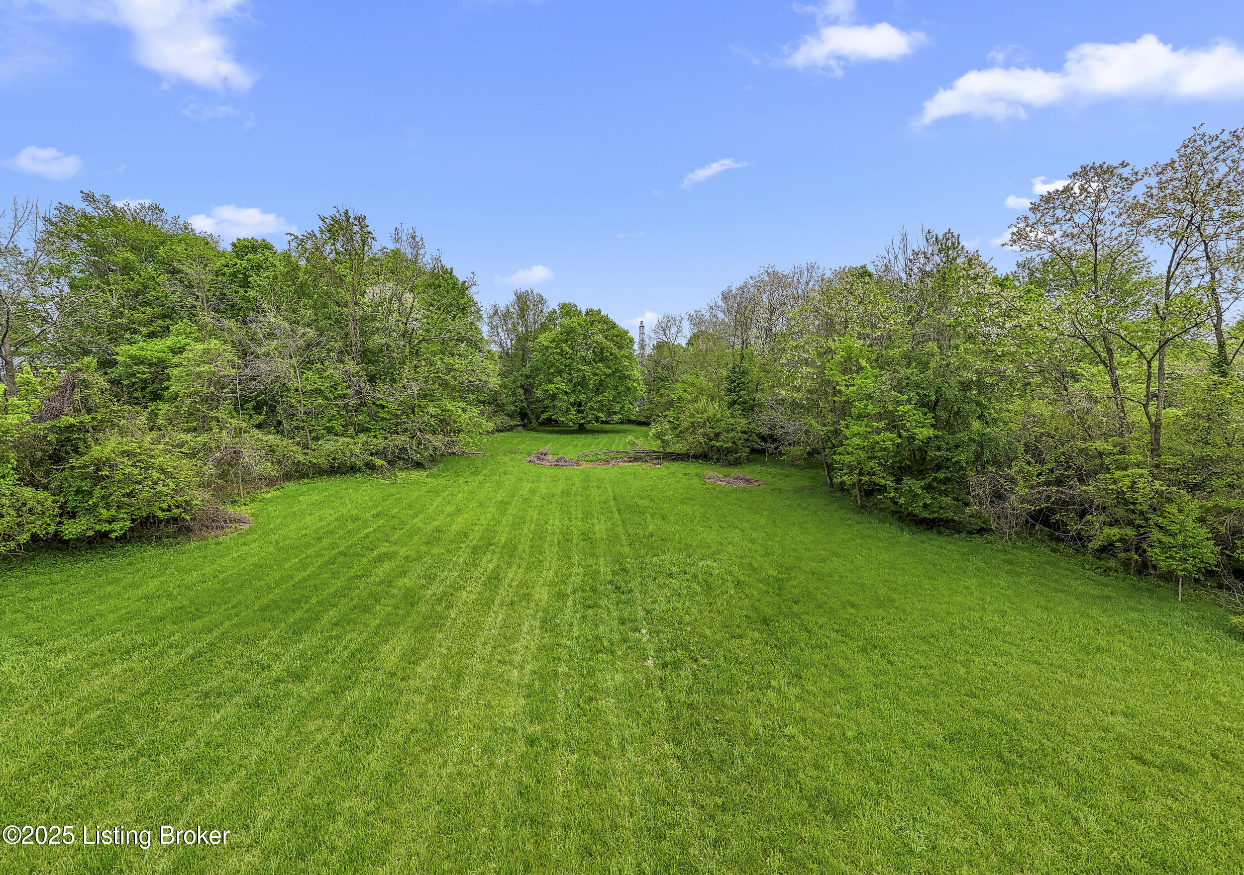 280 Chelsea Road Louisville, KY 40207 - Photo 5 of 20 dji_20250429142111_0012_d