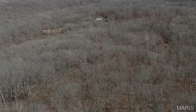 $475,000 | 1038 Mug Drive, Macks Creek, MO 65786