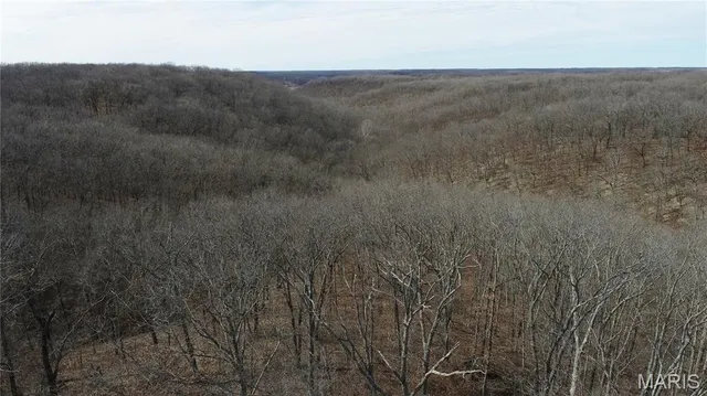 $475,000 | 1038 Mug Drive, Macks Creek, MO 65786