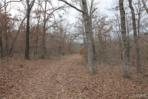 $475,000 | 1038 Mug Drive, Macks Creek, MO 65786