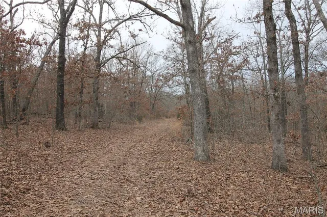 $475,000 | 1038 Mug Drive, Macks Creek, MO 65786