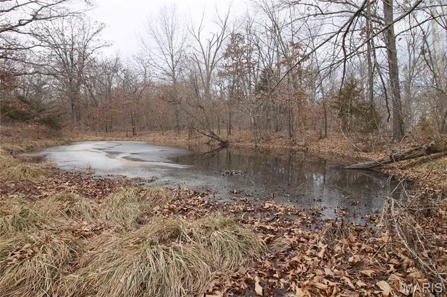 $475,000 | 1038 Mug Drive, Macks Creek, MO 65786