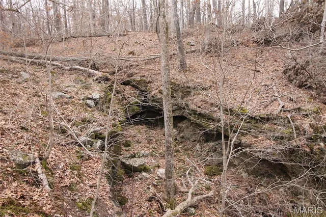 $475,000 | 1038 Mug Drive, Macks Creek, MO 65786