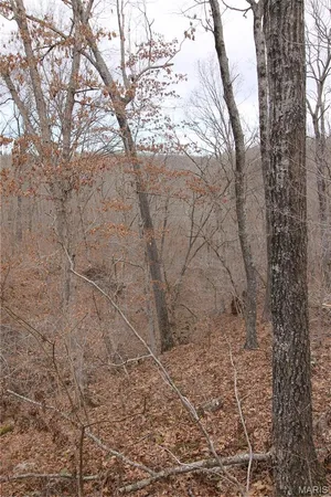 $465,000 | 1038 Mug Drive, Macks Creek, MO 65786