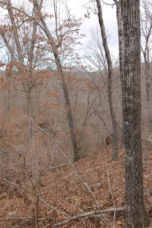 $475,000 | 1038 Mug Drive, Macks Creek, MO 65786