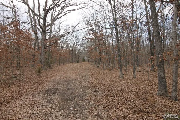 $475,000 | 1038 Mug Drive, Macks Creek, MO 65786