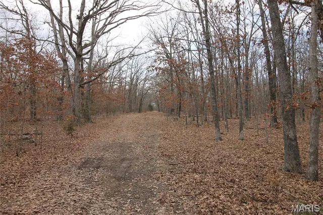 $475,000 | 1038 Mug Drive, Macks Creek, MO 65786