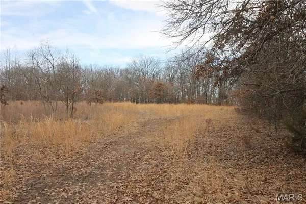 $475,000 | 1038 Mug Drive, Macks Creek, MO 65786