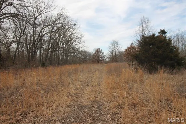 $475,000 | 1038 Mug Drive, Macks Creek, MO 65786