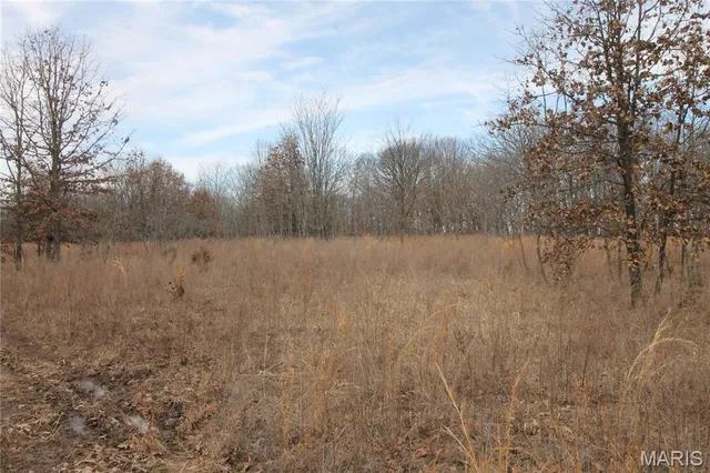 $475,000 | 1038 Mug Drive, Macks Creek, MO 65786