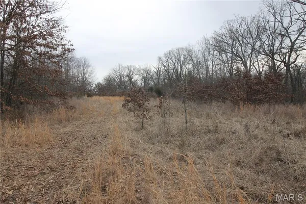 $475,000 | 1038 Mug Drive, Macks Creek, MO 65786