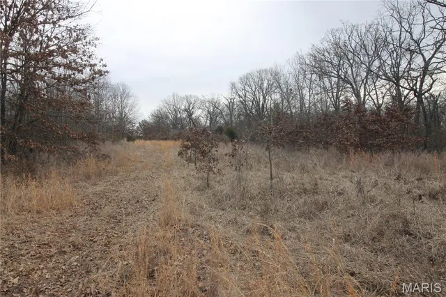 $475,000 | 1038 Mug Drive, Macks Creek, MO 65786