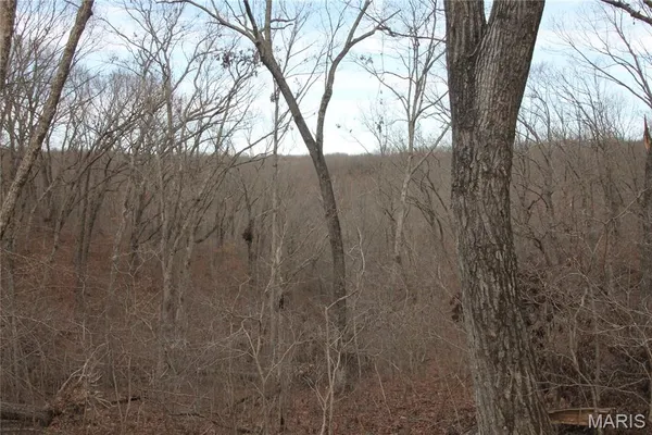 $475,000 | 1038 Mug Drive, Macks Creek, MO 65786