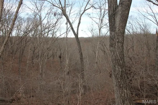 $475,000 | 1038 Mug Drive, Macks Creek, MO 65786