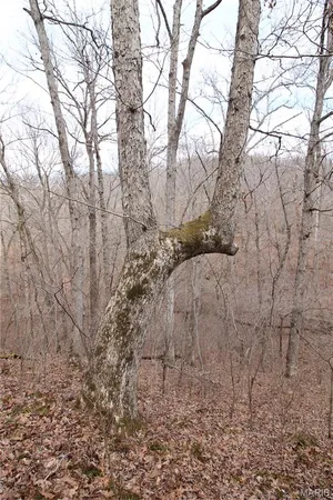 $465,000 | 1038 Mug Drive, Macks Creek, MO 65786