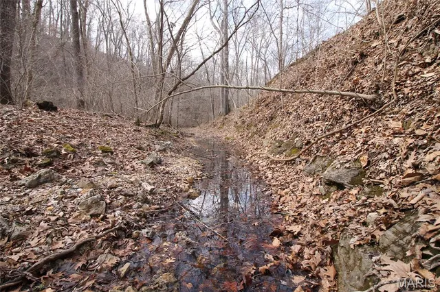 $475,000 | 1038 Mug Drive, Macks Creek, MO 65786