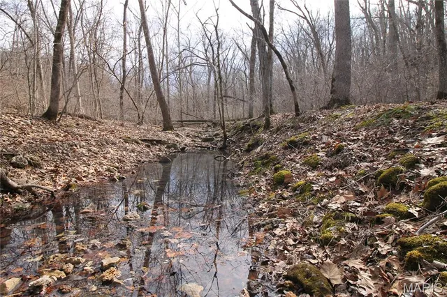 $475,000 | 1038 Mug Drive, Macks Creek, MO 65786