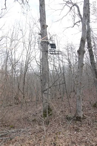 $475,000 | 1038 Mug Drive, Macks Creek, MO 65786