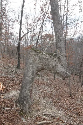 $475,000 | 1038 Mug Drive, Macks Creek, MO 65786