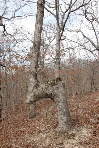 $475,000 | 1038 Mug Drive, Macks Creek, MO 65786