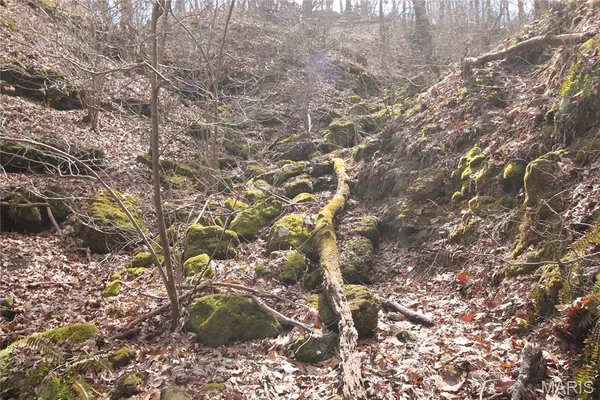 $475,000 | 1038 Mug Drive, Macks Creek, MO 65786