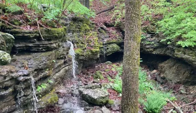 $475,000 | 1038 Mug Drive, Macks Creek, MO 65786