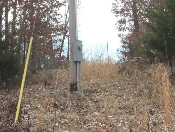 $475,000 | 1038 Mug Drive, Macks Creek, MO 65786