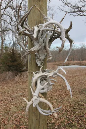 $475,000 | 1038 Mug Drive, Macks Creek, MO 65786