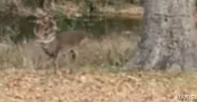 $475,000 | 1038 Mug Drive, Macks Creek, MO 65786