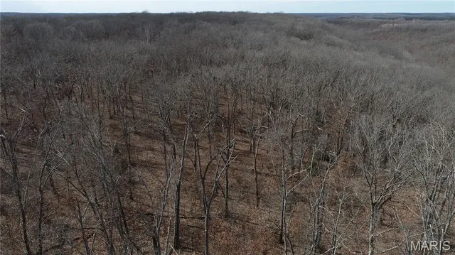 $475,000 | 1038 Mug Drive, Macks Creek, MO 65786