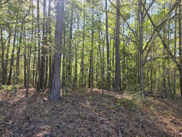 $15,900 | 102 St Gibson Ga 30810, Mitchell, GA 30820